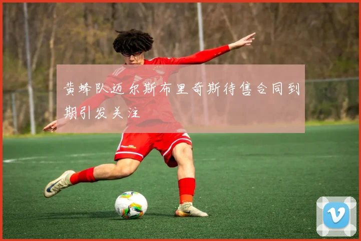 黄蜂队迈尔斯布里奇斯待售合同到期引发关注